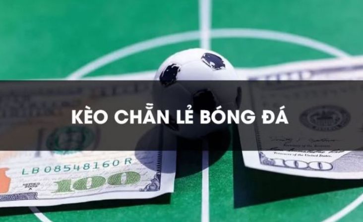 Dk88 cung cấp những trò chơi và dịch vụ trò chơi nào? - Dk88