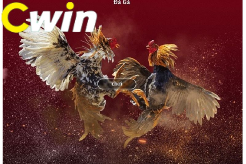 Đánh giá của người chơi Lucky88 - Lucky88