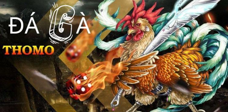 Tôi đã bị Vn888 Games lừa dối và phản bội như thế nào? - Vn888