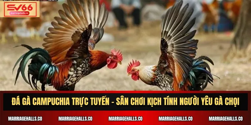 Chi tiết chương trình khuyến mãi Jdb777: Đăng ký ngay để nhận 128000 điểm dùng thử - Jdb777