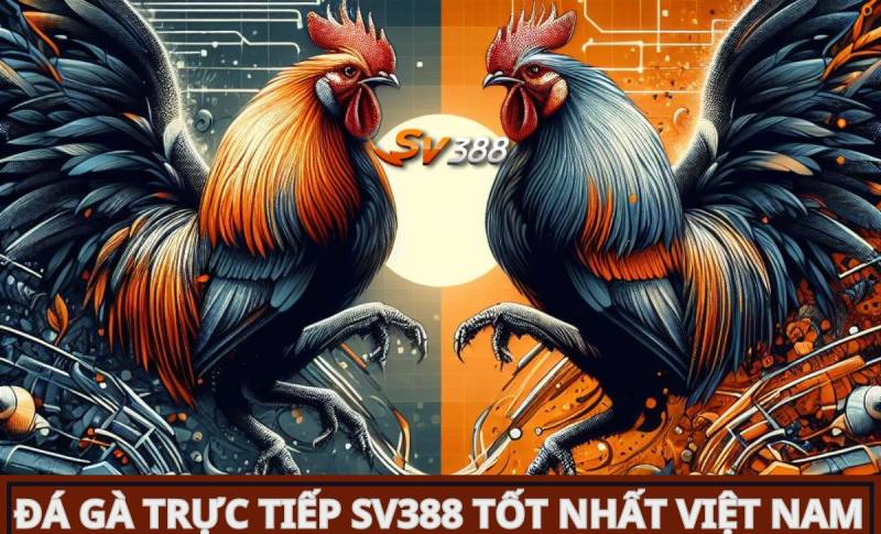 Cửa hàng trực tuyến hạng J88 tung ra các chương trình khuyến mãi hấp dẫn - J88