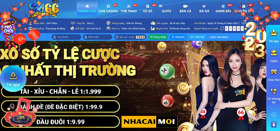 Tóm tắt các hoạt động quảng bá hiện tại của Sunwin - Sunwin