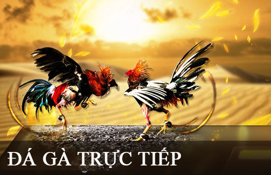 Cách rút tiền trực tuyến từ Sumvip - Sumvip