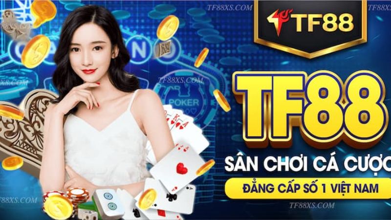 Tổng quan về những ưu điểm chính của Cổng thông tin trò chơi Nbet - Nbet