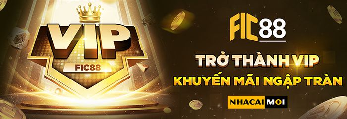 Dữ liệu giải thưởng Xoso66 tính đến tháng 11 năm 2026 - Xoso66