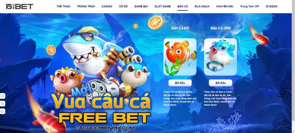 Điều kiện thoát Betway - Betway