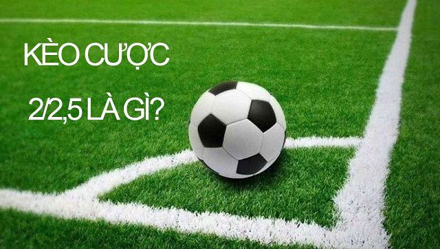 F88bet Plus – Thanh toán siêu nhanh, hoàn toàn an toàn - F88bet