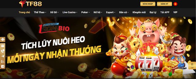 Win789 cung cấp cái nhìn tổng quan toàn diện về tin tức bóng đá - Win789