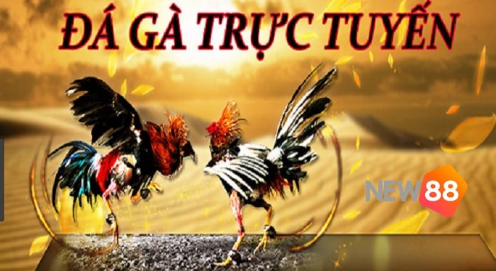Giới thiệu chi tiết về trang web cổng thông tin Fun789 Games - Fun789